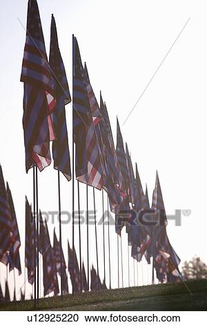 Stock Image - 3000 US Flags for 9/11. Fotosearch