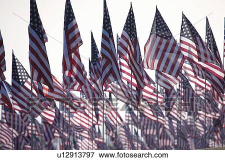 3000 US Flags for 9/11 View Large Photo Image Stock Photo - 3000 US Flags for 9/11. Fotosearch