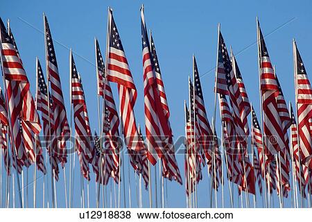 3000 US Flags for 9/11 View Large Photo Image Stock Photo - 3000 US Flags for 9/11. Fotosearch