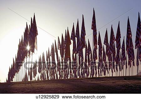 3000 US Flags for 9/11 View Large Photo Image Stock Photo - 3000 US Flags for 9/11. Fotosearch