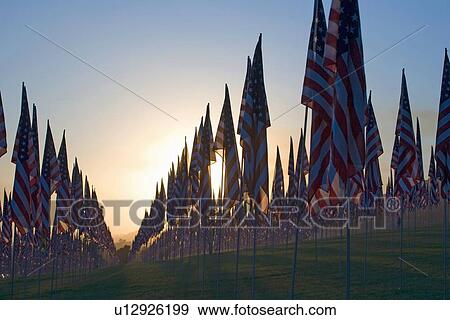 3000 US Flags for 9/11 View Large Photo Image Stock Photo - 3000 US Flags for 9/11. Fotosearch