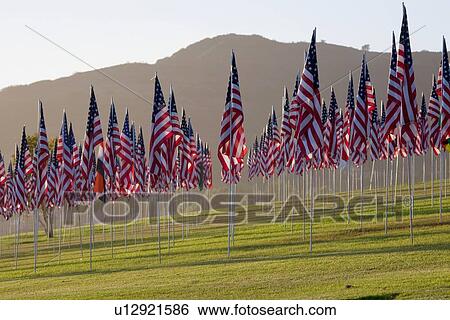 3000 US Flags for 9/11 View Large Photo Image Stock Photograph - 3000 US Flags for 9/11. Fotosearch