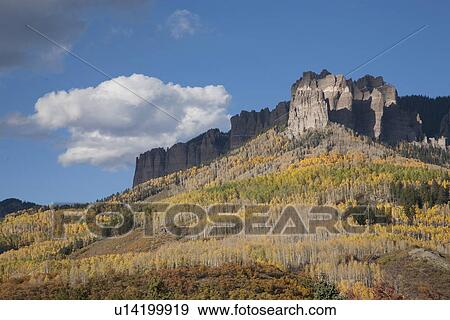Stock Photo - Aspen color near Chimney Peak in the Uncompahgre National Forest, Colorado. Fotosearch