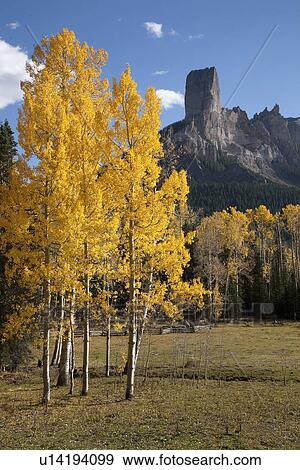 Chimney Peak and Courthouse Mountains in the Uncompahgre National Forest, Colorado View Large Photo Image Stock Photo - Chimney Peak and Courthouse Mountains in the Uncompahgre National Forest, Colorado. Fotosearch