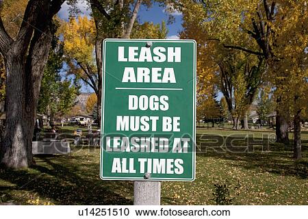 Stock Image - Dogs must be leashed sign in front of park in Ridgeway Colorado. Fotosearch