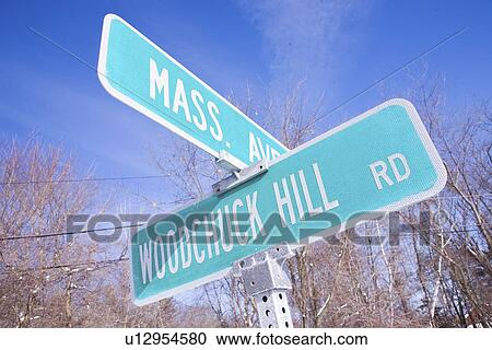 Mass Avenue Road Sign View Large Photo Image Stock Image - Mass Avenue Road Sign. Fotosearch