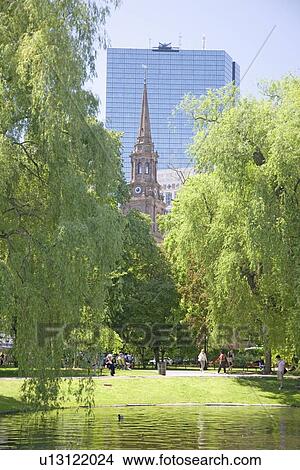 Picture - Summertime in Public Gardens, Boston, MA.. Fotosearch