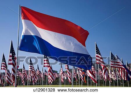 US and Dutch Flag View Large Photo Image Stock Photo - US and Dutch Flag. Fotosearch