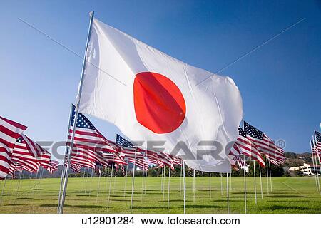 Picture - US and Japanese Flag. Fotosearch