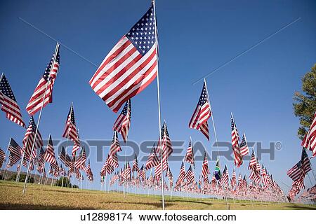 US Flags for 9/11 Memorial View Large Photo Image Picture - US Flags for 9/11 Memorial. Fotosearch