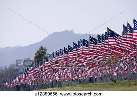 US Flags for 9/11 Memorial View Large Photo Image Stock Photograph - US Flags for 9/11 Memorial. Fotosearch