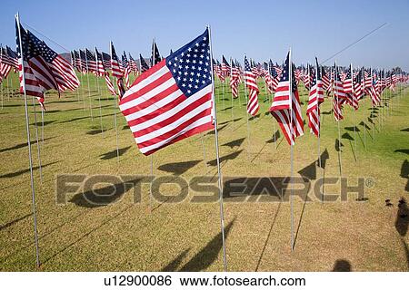 US Flags for 9/11 Memorial View Large Photo Image Stock Photograph - US Flags for 9/11 Memorial. Fotosearch