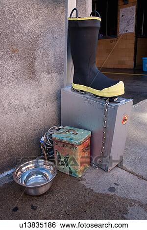 Water bowl and dog biscuits at Ladder #1 View Large Photo Image Stock Photograph - Water bowl and dog biscuits at Ladder #1. Fotosearch