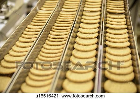 Biscuits on production line in factory View Large Photo Image Stock Image - Biscuits on production line in factory. Fotosearch
