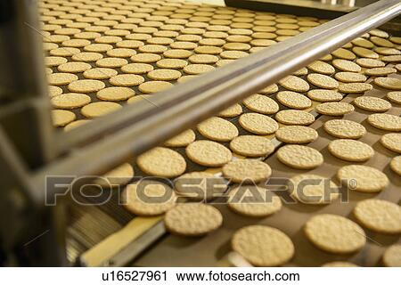Biscuits on production line in factory View Large Photo Image Stock Image - Biscuits on production line in factory. Fotosearch