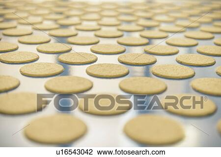 Biscuits on production line in factory View Large Photo Image Stock Image - Biscuits on production line in factory. Fotosearch