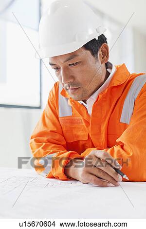 Businessman reading blueprints View Large Photo Image Picture - Businessman reading blueprints. Fotosearch