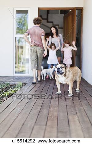 Stock Image - Dog standing on wooden patio. Fotosearch