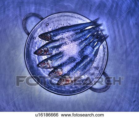 Fish with salt on metal plate View Large Photo Image Stock Photograph - Fish with salt on metal plate. Fotosearch