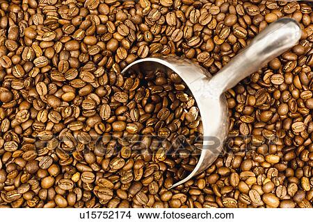 Picture - Metal scoop in pile of coffee beans. Fotosearch