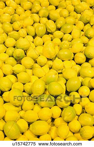 Pile of citrus fruit View Large Photo Image Stock Photography - Pile of citrus fruit. Fotosearch