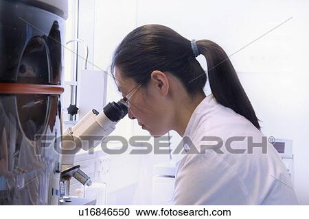 Stock Image - Scientist using microscope in lab. Fotosearch