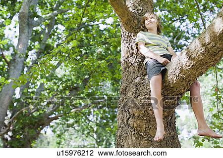 Stock Image - Smiling boy sitting in tree. Fotosearch