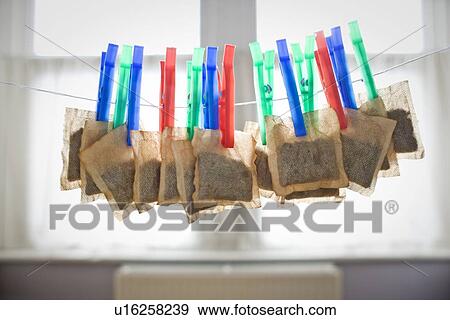 Teabags hanging from clothesline View Large Photo Image Stock Photo - Teabags hanging from clothesline. Fotosearch