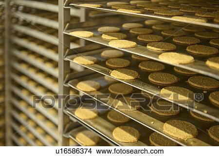 Picture - Trays of biscuits in factory. Fotosearch