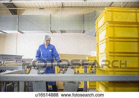 Stock Photo - Worker checking production line in factory. Fotosearch