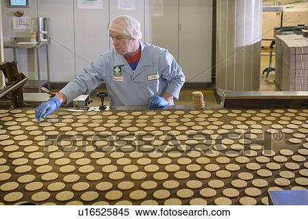 Worker checking production line in factory View Large Photo Image Stock Photography - Worker checking production line in factory. Fotosearch