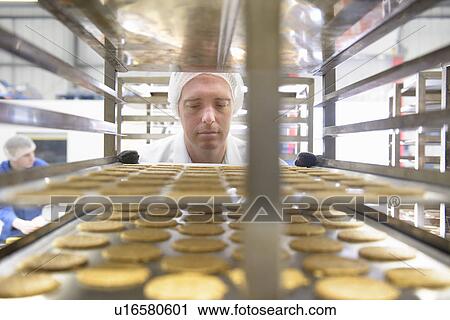 Worker examining biscuits in factory View Large Photo Image Stock Image - Worker examining biscuits in factory. Fotosearch