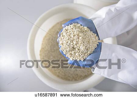 Stock Image - Worker with handful of oats in factory. Fotosearch