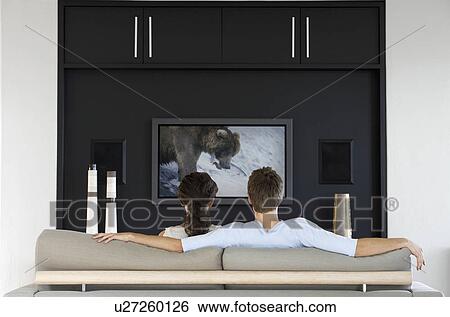 Stock Photograph - Back view of couple watching wildlife movie on television in living room. Fotosearch