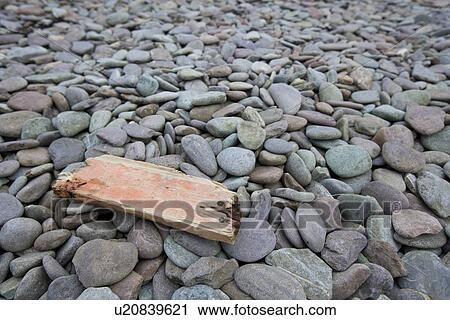 Close up of drift wood on pebbles View Large Photo Image Stock Image - Close up of drift wood on pebbles. Fotosearch