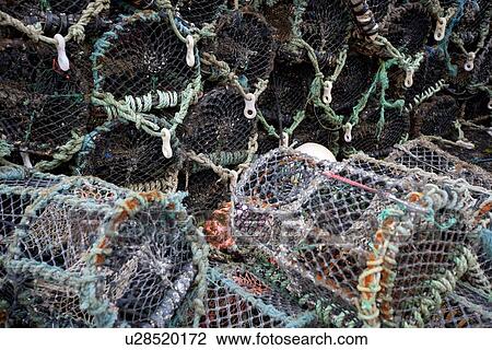 Close-up view of lobster crab fishing pots View Large Photo Image Stock Image - Close-up view of lobster crab fishing pots. Fotosearch