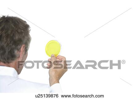 Stock Photograph - Cropped view of lab worker examining petri dish against white background. Fotosearch