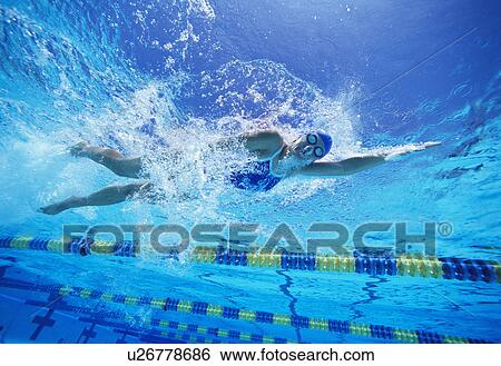 Female swimmer in United States swimsuit while swimming in pool View Large Photo Image Stock Photograph - Female swimmer in United States swimsuit while swimming in pool. Fotosearch