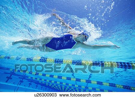 Female swimmer wearing United States swimsuit while swimming in pool View Large Photo Image Stock Image - Female swimmer wearing United States swimsuit while swimming in pool. Fotosearch