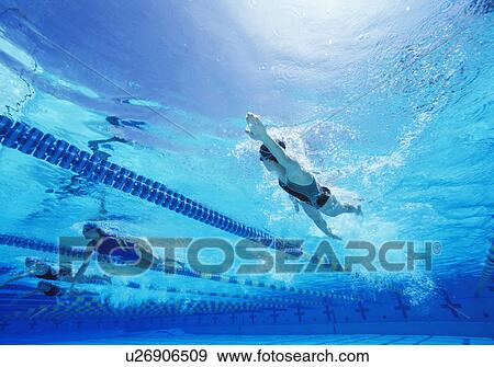 Female swimmers swimming in pool View Large Photo Image Stock Photo - Female swimmers swimming in pool. Fotosearch