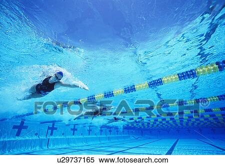 Stock Photography - Four female professional participants racing in pool. Fotosearch