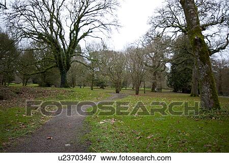Stock Photo - Grounds at Blarney Castle, Country Cork, Ireland. Fotosearch