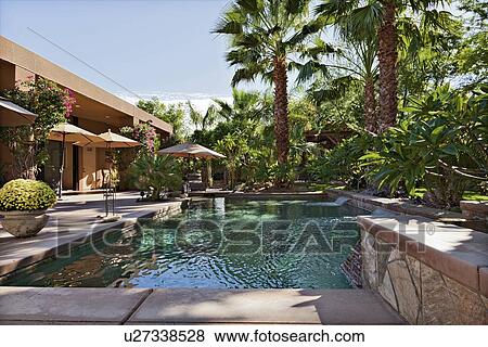 Stock Photo - Luxury Villa with waterfall feature and palm trees. Fotosearch