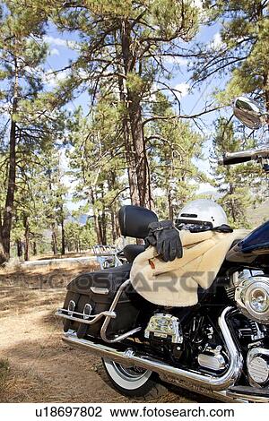 Motorcycle with riding gloves and jacket in forest setting View Large Photo Image Stock Image - Motorcycle with riding gloves and jacket in forest setting. Fotosearch