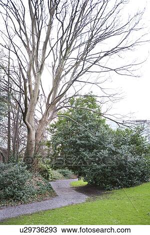 Path leading through gardens View Large Photo Image Stock Image - Path leading through gardens. Fotosearch