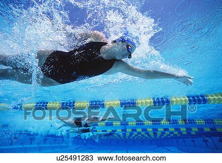 Professional female swimmers swimming in pool View Large Photo Image Stock Image - Professional female swimmers swimming in pool. Fotosearch