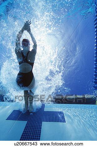 Rear view of female swimmer in competition View Large Photo Image Stock Image - Rear view of female swimmer in competition. Fotosearch