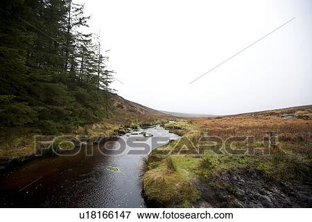 Stream running through Wicklow National Park View Large Photo Image Stock Photo - Stream running through Wicklow National Park. Fotosearch