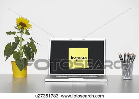 Stock Image - Sunflower plant on desk and sticky notepaper with Italian text on laptop screen saying "imposte" (Taxes). Fotosearch