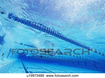 Swimmers racing together in swimming pool View Large Photo Image Stock Photo - Swimmers racing together in swimming pool. Fotosearch